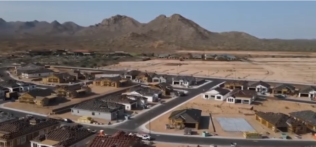 What Has Helped Phoenix Grow? What Has Helped Phoenix Grow?